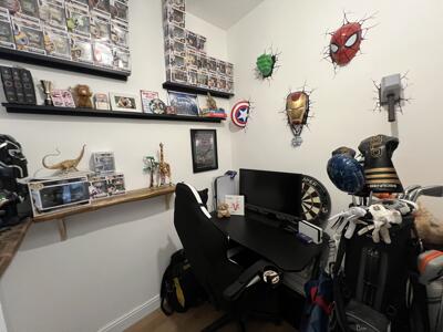 Picture 12